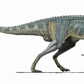 † Carnotaurus sastrei<p>(vor etwa 72 bis 66 Millionen Jahren)</p>